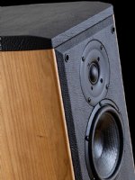 Sonus Faber Liuto Monitor